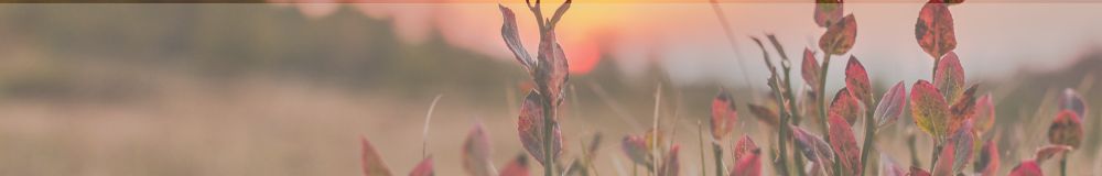 herbstlicher Sonnenuntergang - Gesundheit vom Sommer in den Herbst